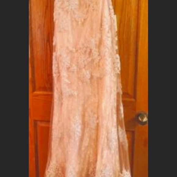 iNtrigue by Blush Pink size 6 Elegant Gown - Picture 5 of 12